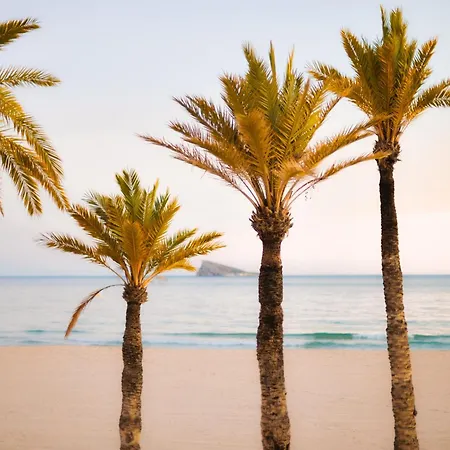 Vip Appartement Benidorm