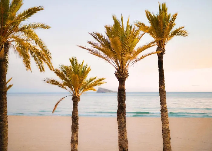 Vip Apartmán Benidorm